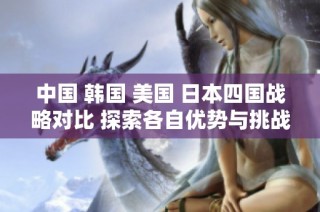 中国 韩国 美国 日本四国战略对比 探索各自优势与挑战