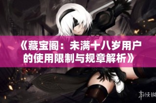 《藏宝阁：未满十八岁用户的使用限制与规章解析》