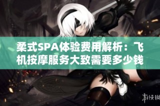 柔式SPA体验费用解析：飞机按摩服务大致需要多少钱