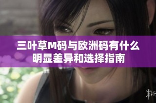 三叶草M码与欧洲码有什么明显差异和选择指南