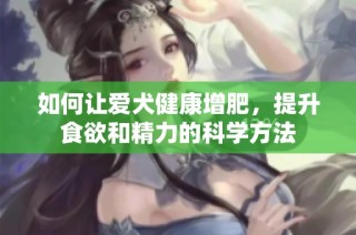 如何让爱犬健康增肥，提升食欲和精力的科学方法