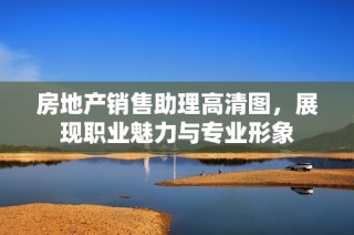 房地产销售助理高清图，展现职业魅力与专业形象