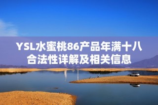 YSL水蜜桃86产品年满十八合法性详解及相关信息