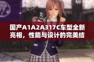国产A1A2A317C车型全新亮相，性能与设计的完美结合