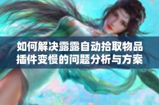 如何解决露露自动拾取物品插件变慢的问题分析与方案