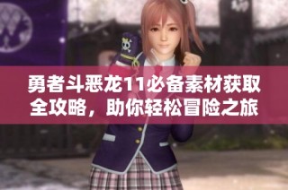 勇者斗恶龙11必备素材获取全攻略，助你轻松冒险之旅