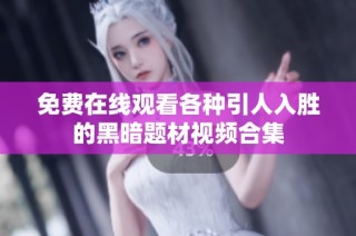 免费在线观看各种引人入胜的黑暗题材视频合集