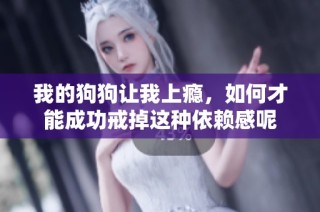 我的狗狗让我上瘾，如何才能成功戒掉这种依赖感呢