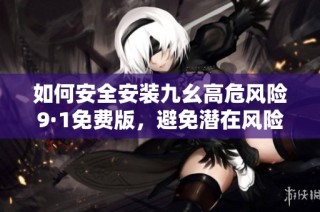 如何安全安装九幺高危风险9·1免费版，避免潜在风险