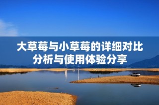 大草莓与小草莓的详细对比分析与使用体验分享