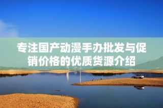 专注国产动漫手办批发与促销价格的优质货源介绍