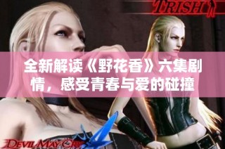 全新解读《野花香》六集剧情，感受青春与爱的碰撞