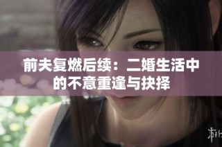 前夫复燃后续：二婚生活中的不意重逢与抉择