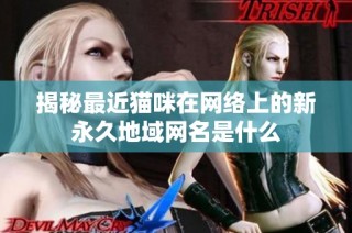 揭秘最近猫咪在网络上的新永久地域网名是什么