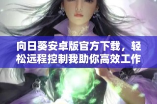 向日葵安卓版官方下载，轻松远程控制我助你高效工作
