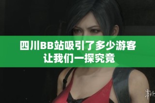 四川BB站吸引了多少游客 让我们一探究竟