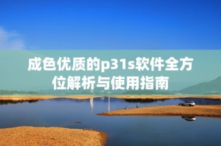 成色优质的p31s软件全方位解析与使用指南