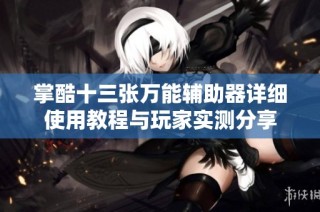 掌酷十三张万能辅助器详细使用教程与玩家实测分享