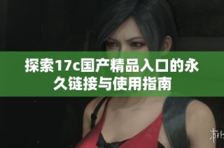 探索17c国产精品入口的永久链接与使用指南