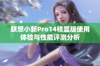 联想小新Pro14核显版使用体验与性能评测分析