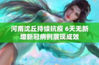 河南沈丘持续抗疫 6天无新增新冠病例展现成效
