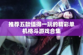 推荐五款值得一玩的精彩单机格斗游戏合集
