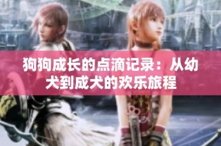 狗狗成长的点滴记录：从幼犬到成犬的欢乐旅程