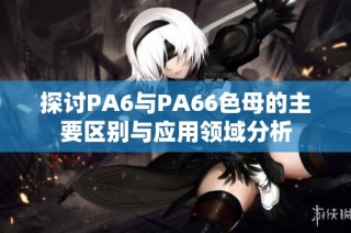 探讨PA6与PA66色母的主要区别与应用领域分析