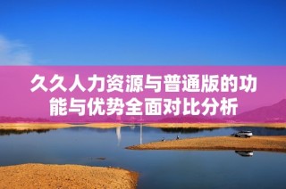 久久人力资源与普通版的功能与优势全面对比分析