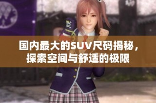 国内最大的SUV尺码揭秘，探索空间与舒适的极限