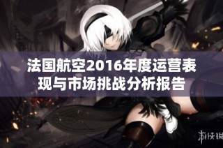 法国航空2016年度运营表现与市场挑战分析报告