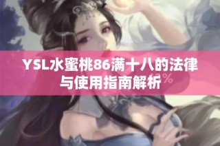 YSL水蜜桃86满十八的法律与使用指南解析