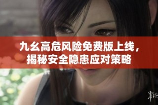 九幺高危风险免费版上线，揭秘安全隐患应对策略