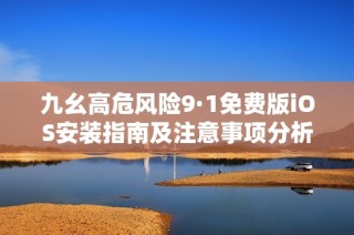 九幺高危风险9·1免费版iOS安装指南及注意事项分析
