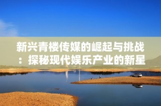 新兴青楼传媒的崛起与挑战：探秘现代娱乐产业的新星