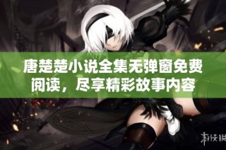 唐楚楚小说全集无弹窗免费阅读，尽享精彩故事内容