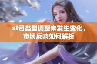 xl司类型调整未发生变化，市场反响如何解析