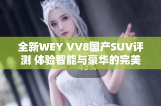 全新WEY VV8国产SUV评测 体验智能与豪华的完美结合