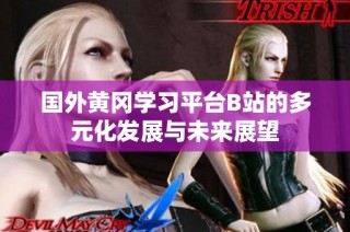 国外黄冈学习平台B站的多元化发展与未来展望
