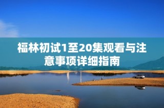 福林初试1至20集观看与注意事项详细指南
