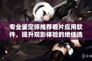 专业鉴定师推荐看片应用软件，提升观影体验的绝佳选择