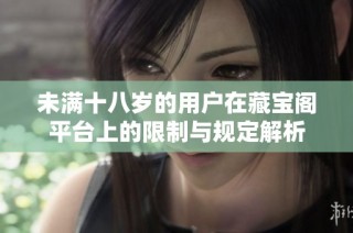 未满十八岁的用户在藏宝阁平台上的限制与规定解析