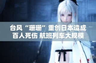 台风“珊珊”重创日本造成百人死伤 航班列车大规模停运