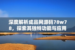 深度解析成品网源码78w78，探索其独特功能与应用价值