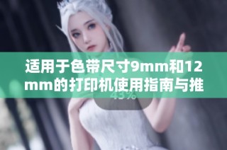 适用于色带尺寸9mm和12mm的打印机使用指南与推荐