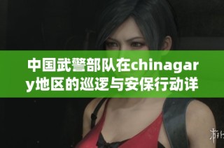 中国武警部队在chinagary地区的巡逻与安保行动详细报告
