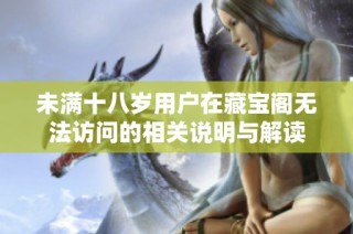 未满十八岁用户在藏宝阁无法访问的相关说明与解读