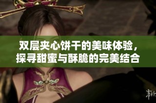 双层夹心饼干的美味体验，探寻甜蜜与酥脆的完美结合