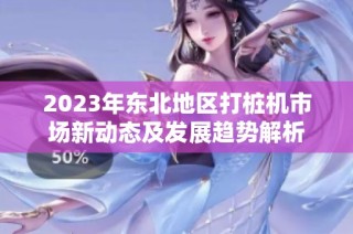 2023年东北地区打桩机市场新动态及发展趋势解析