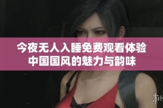 今夜无人入睡免费观看体验中国国风的魅力与韵味